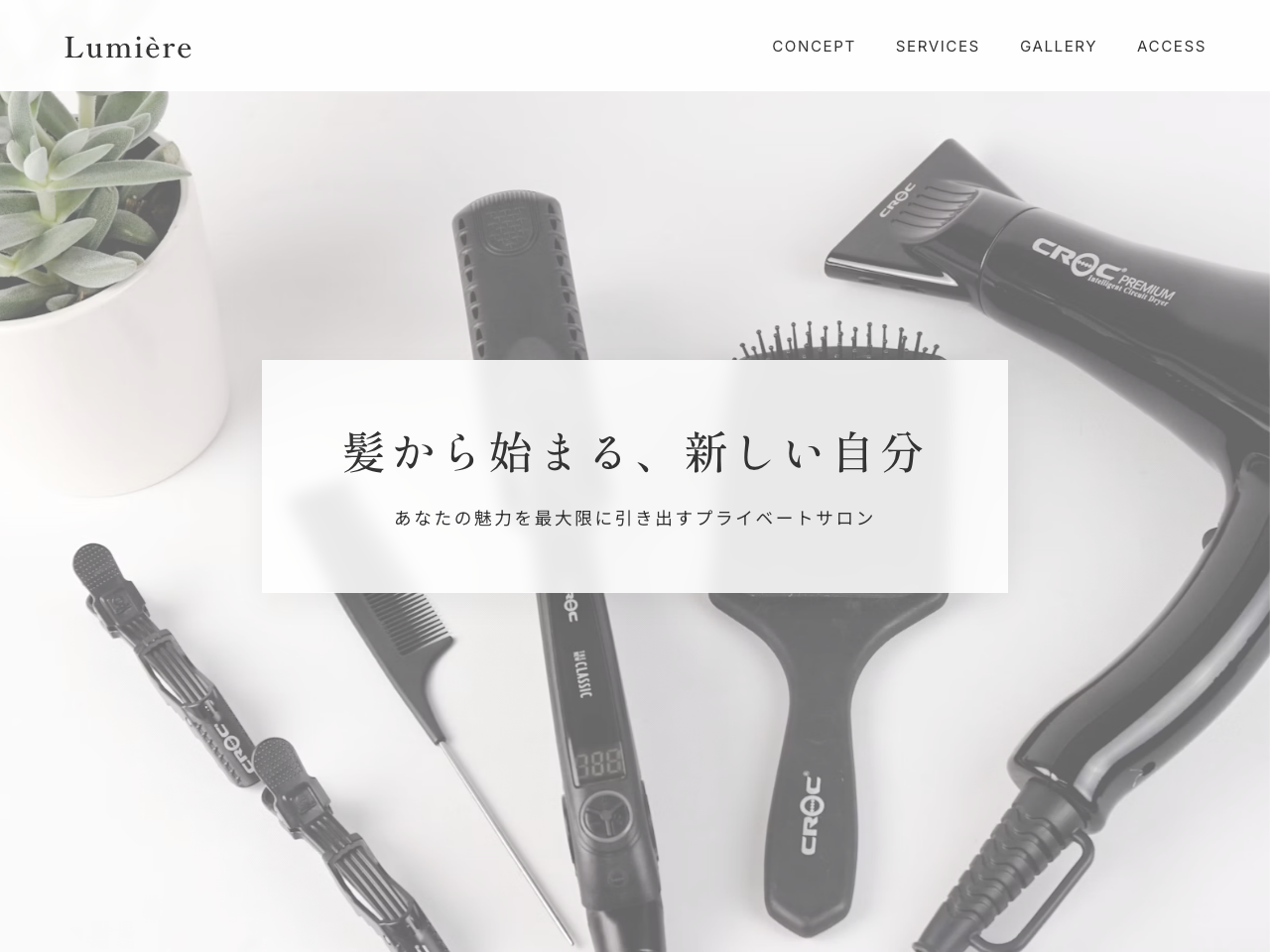 Beauty Salon LP